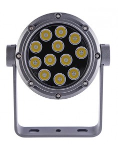 Projetor 12X2W 4000K